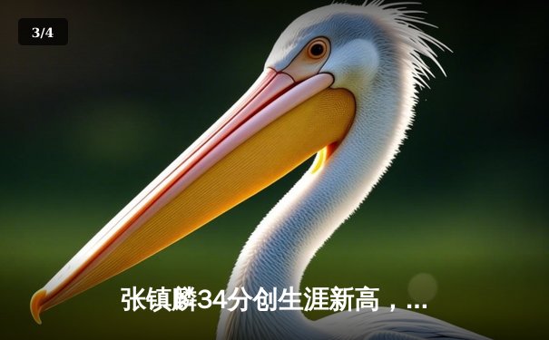 张镇麟34分创生涯新高，辽宁本钢加时险胜广东宏远赢得天王山之战 - 3