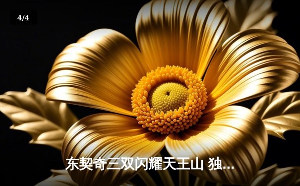 东契奇三双闪耀天王山 独行侠险胜雷霆夺赛点 - 4